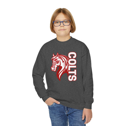 YOUTH -- Colts Mascot Head Horse West Jessamine Sweater