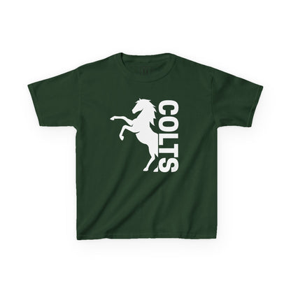 YOUTH - COLTS, Horse in White