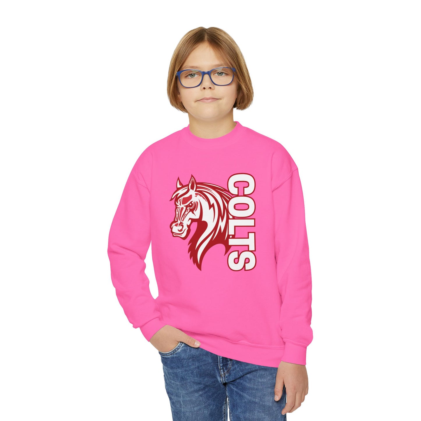 YOUTH -- Colts Mascot Head Horse West Jessamine Sweater