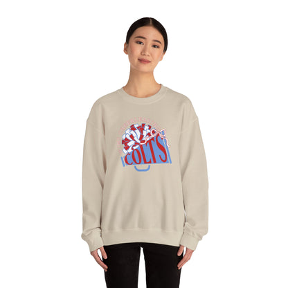 WJMS Cheerleading Megaphone Colts - Unisex Sweatshirt
