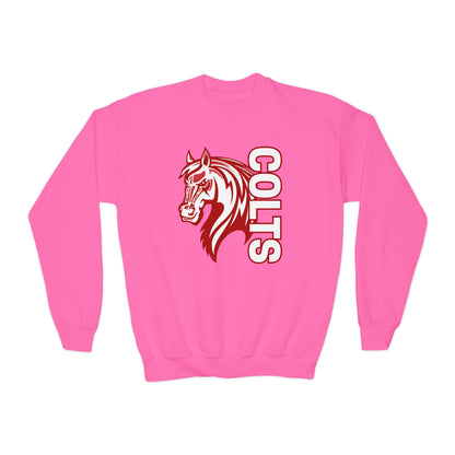 YOUTH -- Colts Mascot Head Horse West Jessamine Sweater