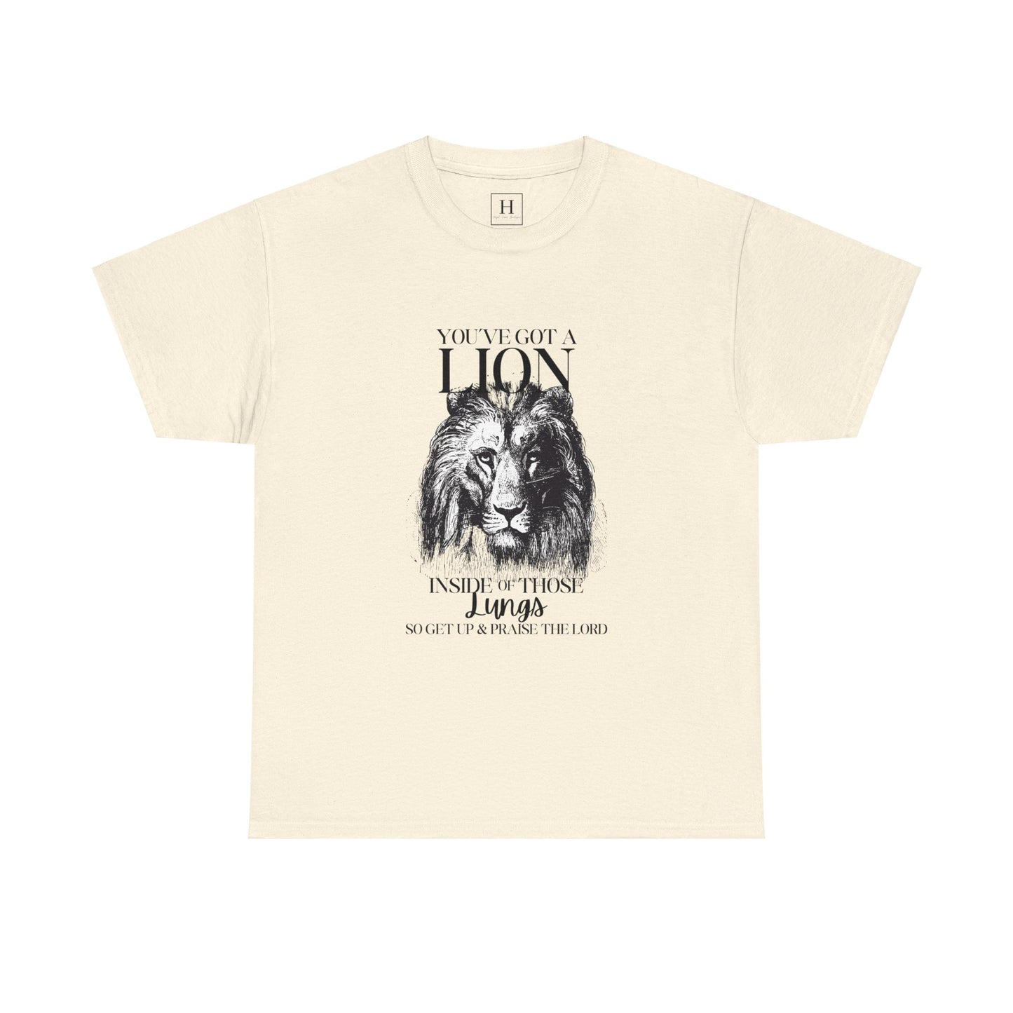 you are a lion christian shirt